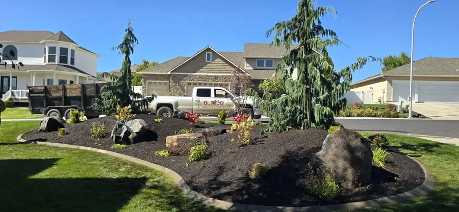 Front-yard island bed with black mulch, boulders and a weeping conifer, wrapped in a white concrete curb