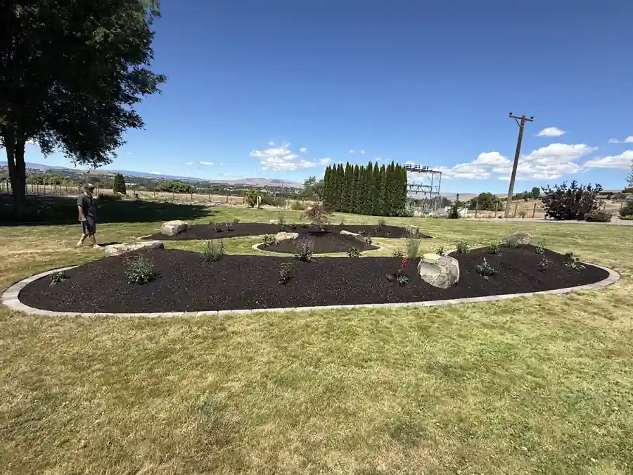 Lawn Maintenance