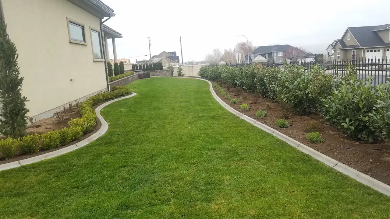 Concrete landscape curbing: what to decide before the pour