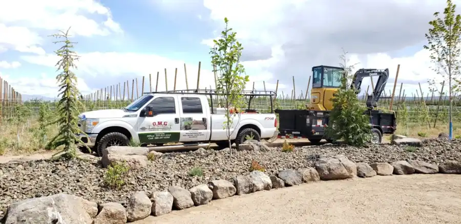 OMG pickup, trailer and mini excavator on an orchard-edge job with a new boulder border